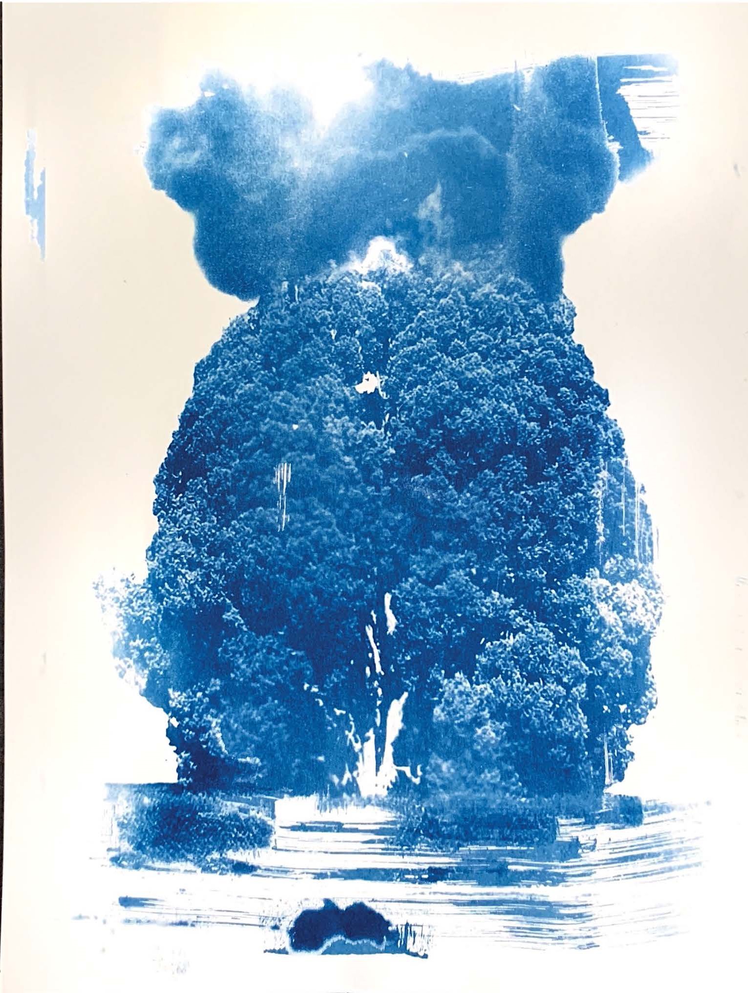 Dream’s Ashes — image 4