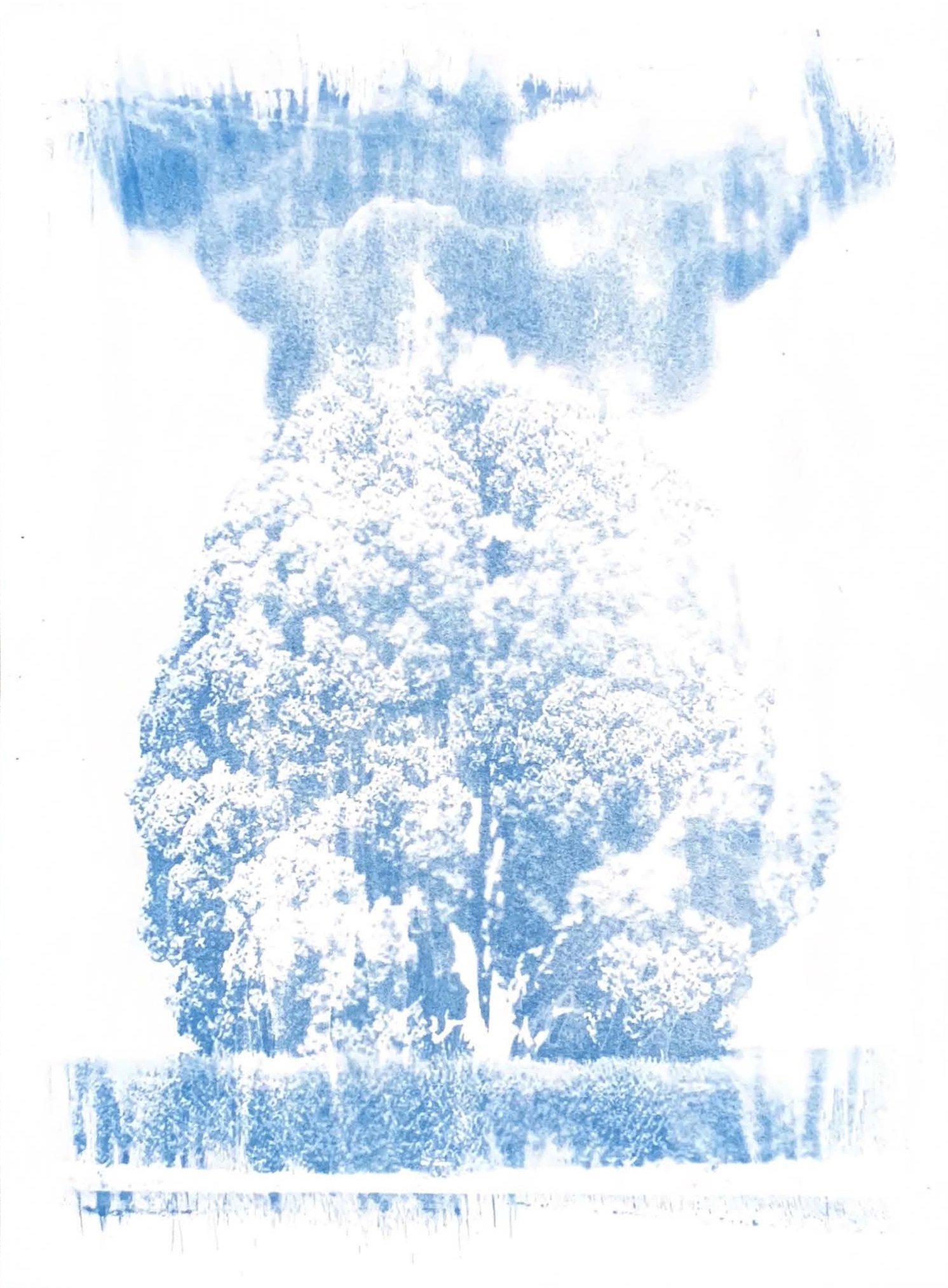 Dream’s Ashes — image 21