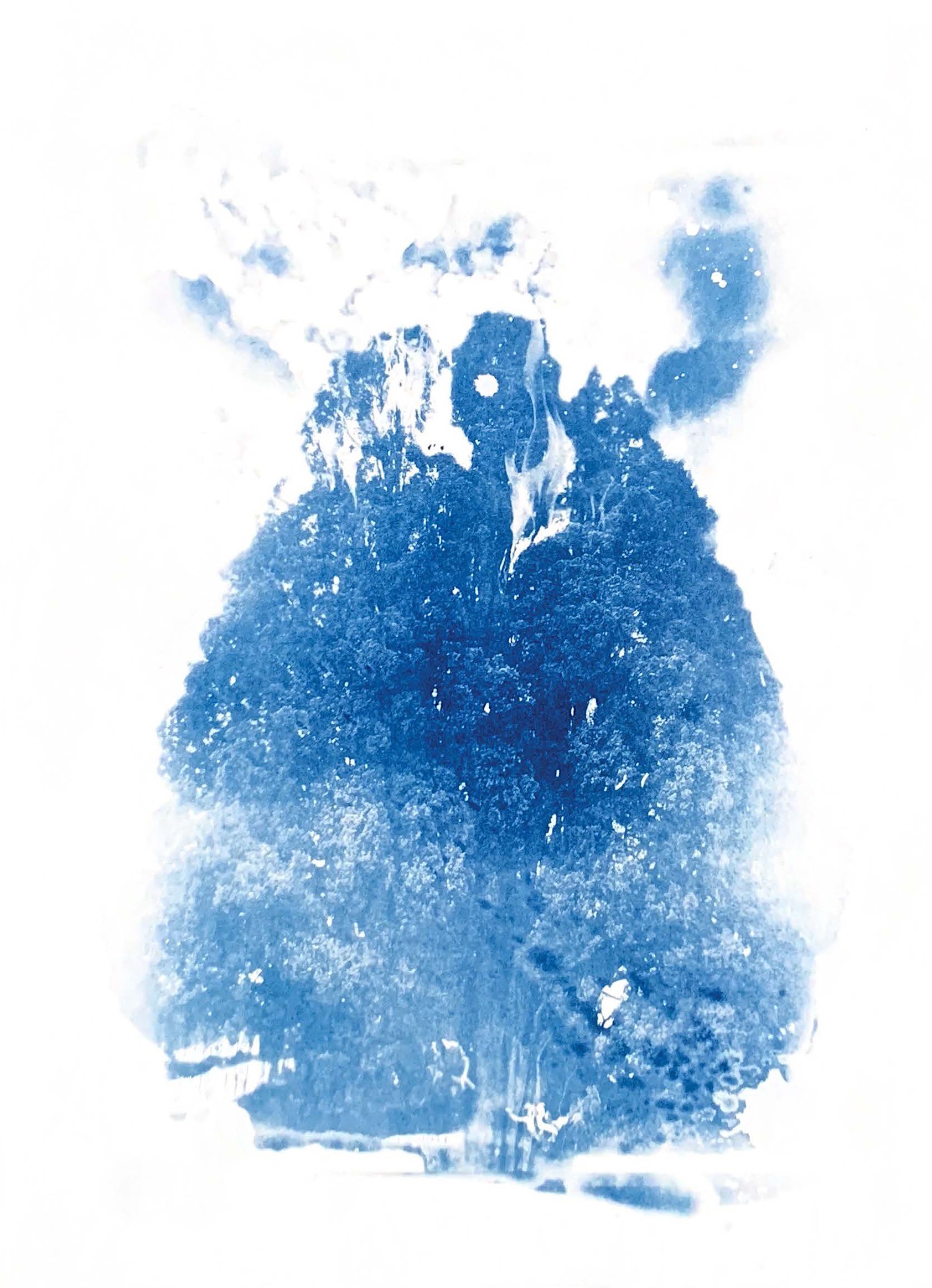 Dream’s Ashes — image 2